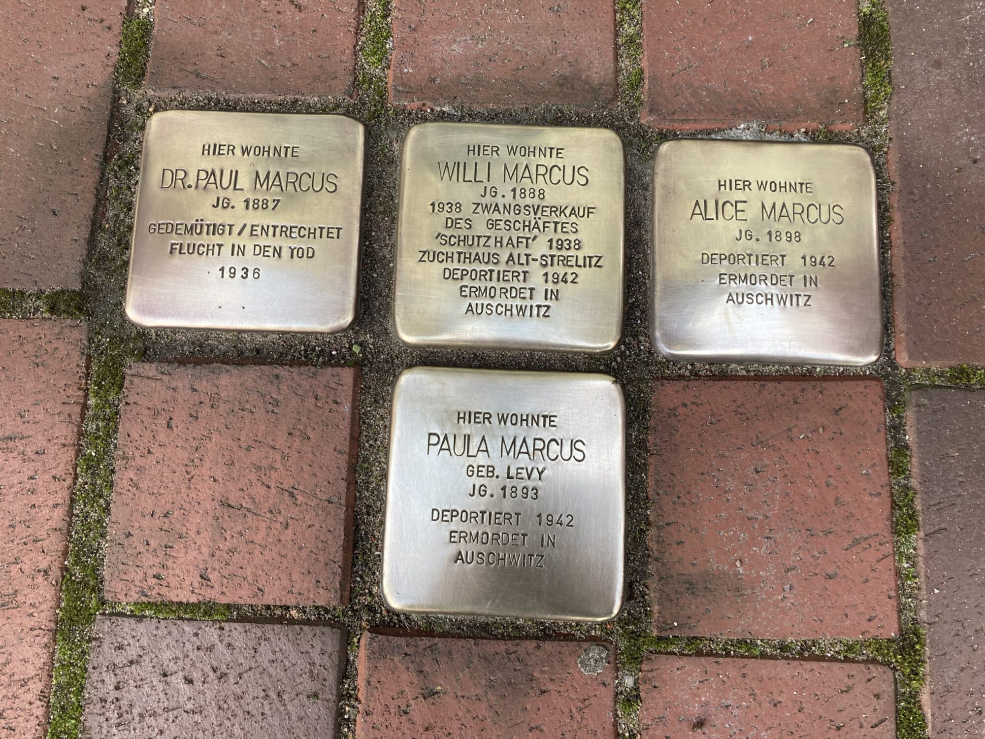 Stolpersteine Schwaan