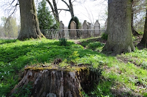 Jüdischer Friedhof Schwaan